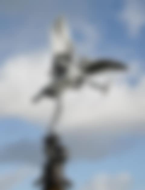 EROS (preview)
