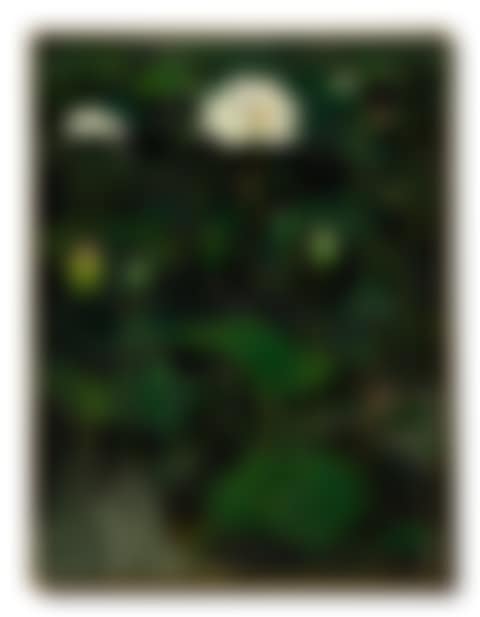 LOTUS FLOWERS (I) (preview)