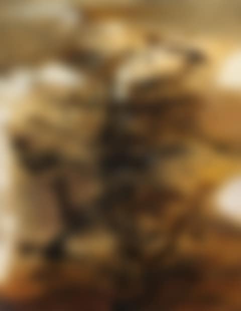29.01.64 (preview)