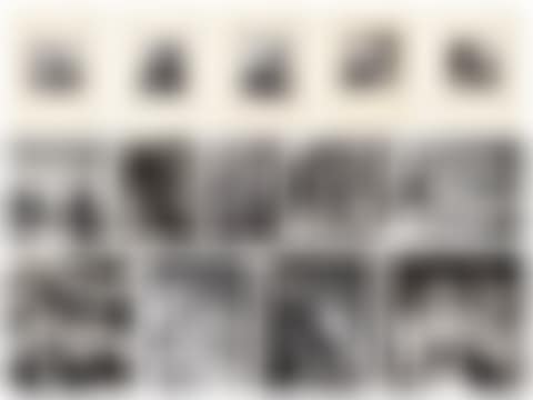A group of fourteen mounted photographs, early 1930s (preview)