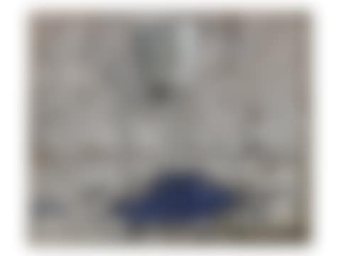 Pintura del Cubell (Painting with Laundry Bucket) (preview)