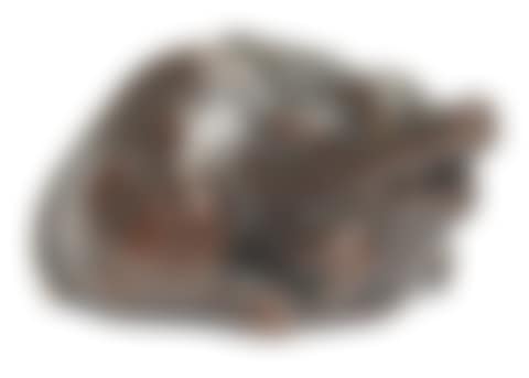 A wood netsuke of a recumbent boar (preview)