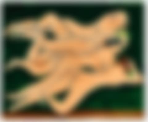 QUATRE NUS (preview)