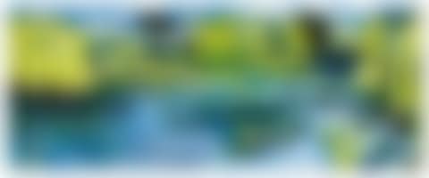 MONET’S GARDEN (preview)