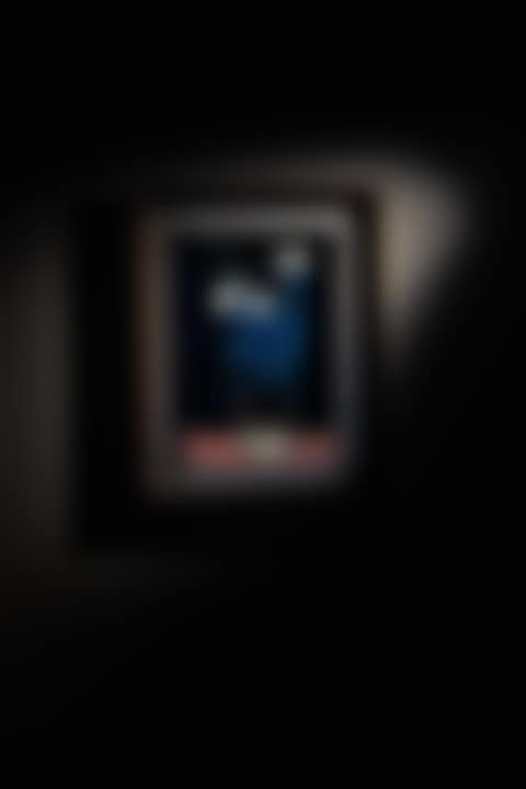 FLEURS DANS UN POT BLEU ET BLANC (preview)