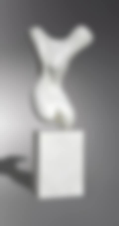 TORSE (preview)