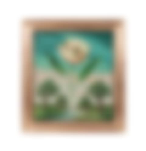 Tulip (Sunrise) (preview)