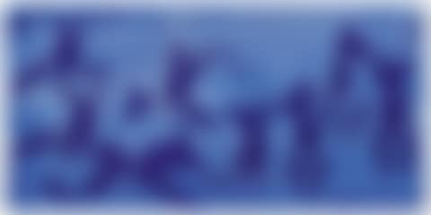 Anthropométrie de l’époque bleue, (ANT 124) (Anthropometry of the Blue Period), (ANT 124)) (preview)
