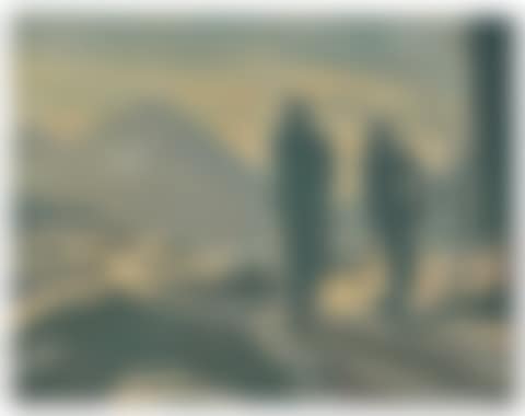 De Wandeling (The Walk) (preview)
