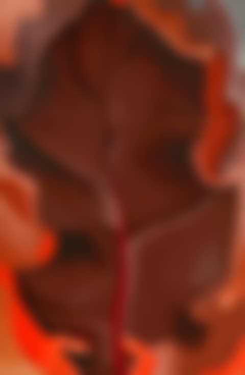 Autumn Leaf II (preview)