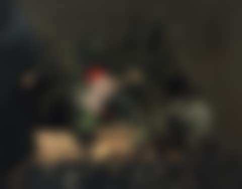 Flowers (preview)