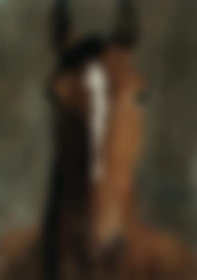 Head of bay horse (preview)