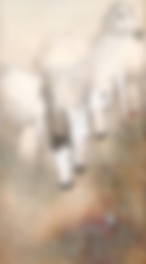 Drinking horses (preview)