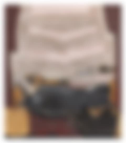 Campins (preview)