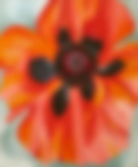 Red Poppy (preview)