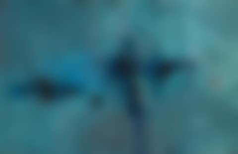 Untitled (preview)