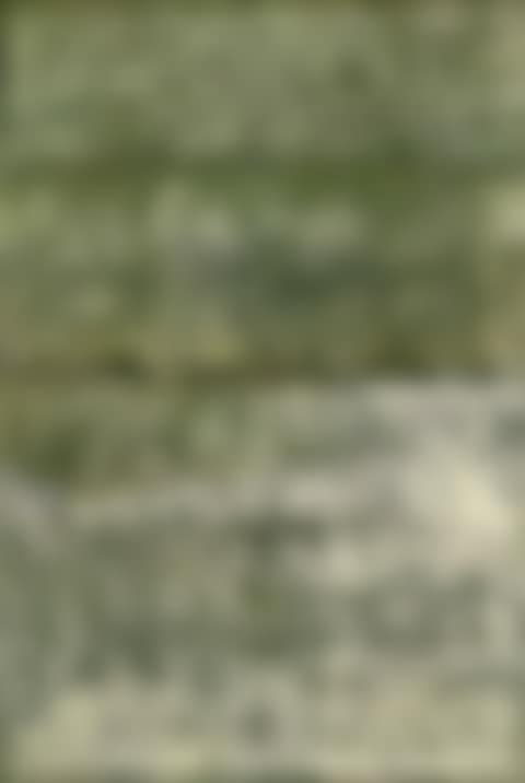 UNTITLED (preview)