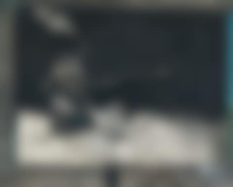 Leda and the Swan (preview)