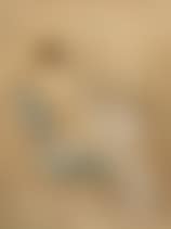 Half-naked woman (preview)