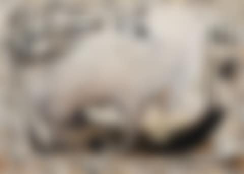 EUROPA AND THE BULL (preview)