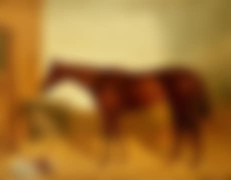 Portrait of the race horse, Kincsem (preview)