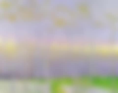 Yellow Band (preview)