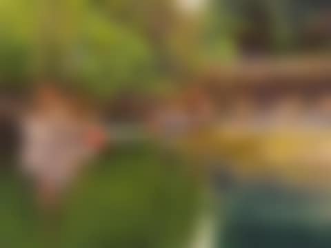 Alaskan Harbor (preview)