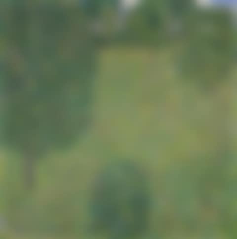 Blumenwiese (Blooming Meadow) (preview)