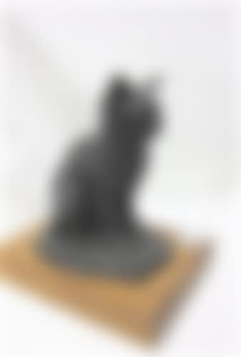 Seated Feline (preview)